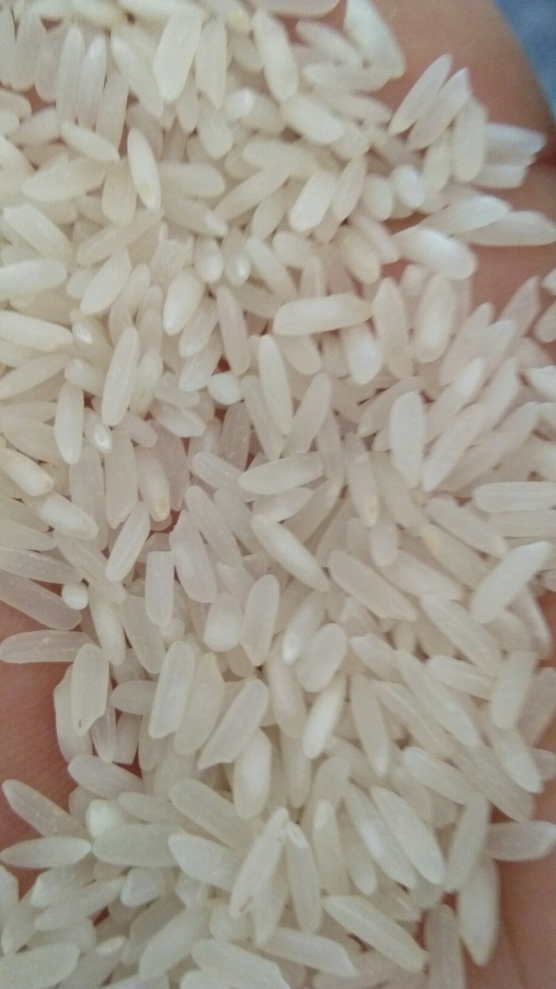 汉中大米，城固鑫星米业，汉中市天汉米业