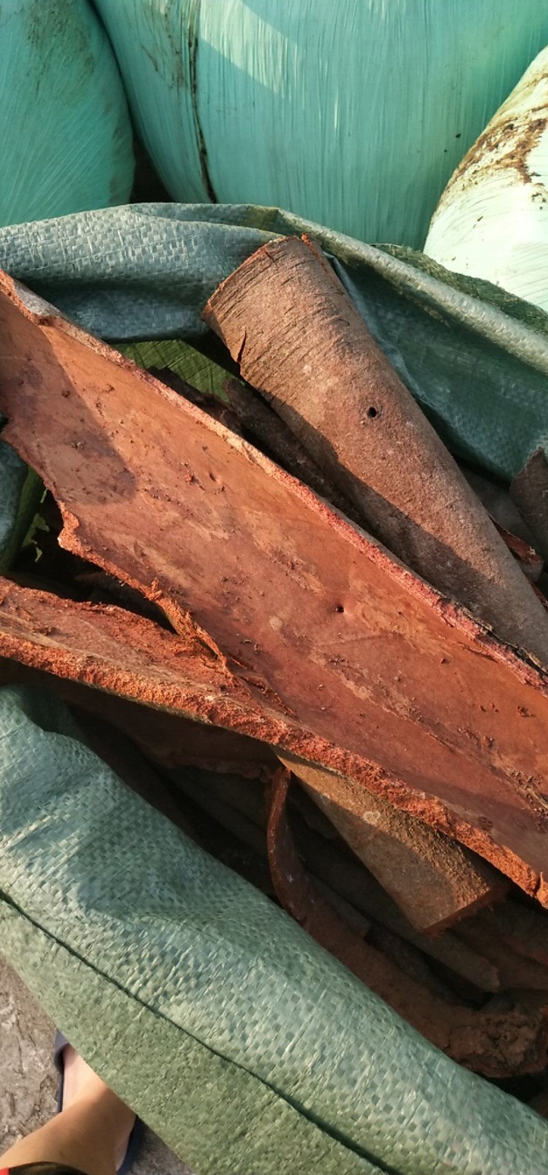 缅甸桂皮，通货