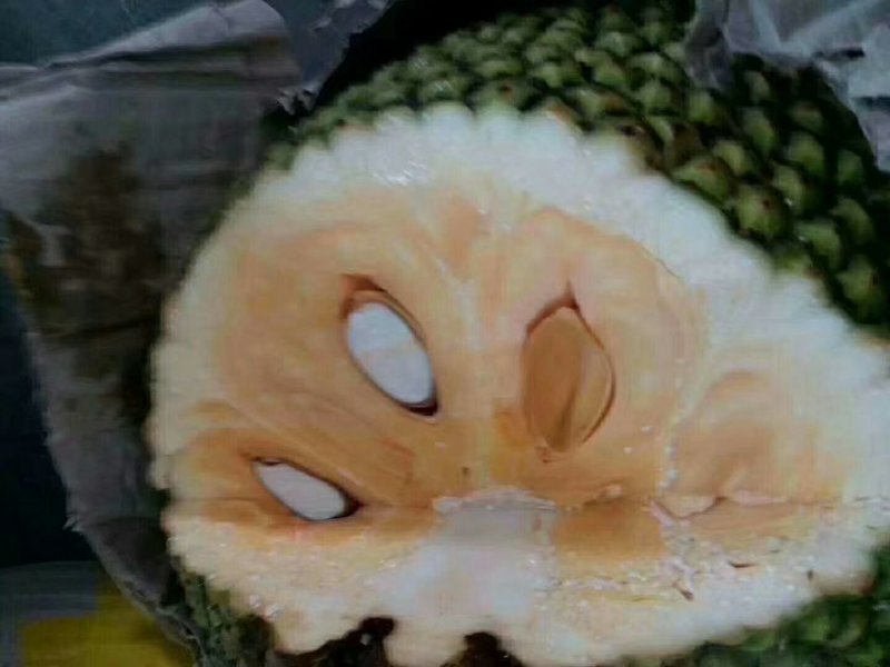 菠萝蜜代办，免费换越南盾，代卖各种水果。
