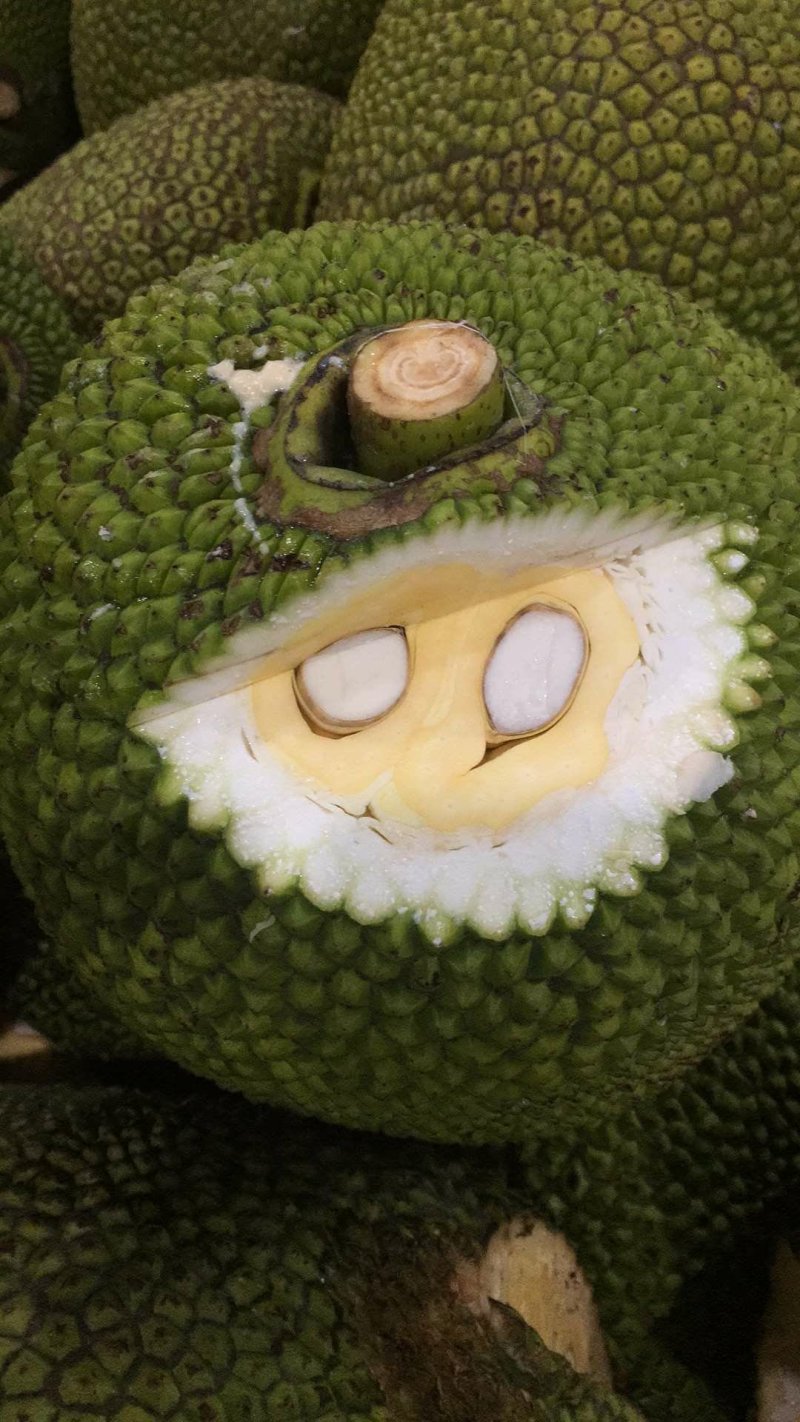 菠萝蜜代办，免费换越南盾，代卖各种水果。