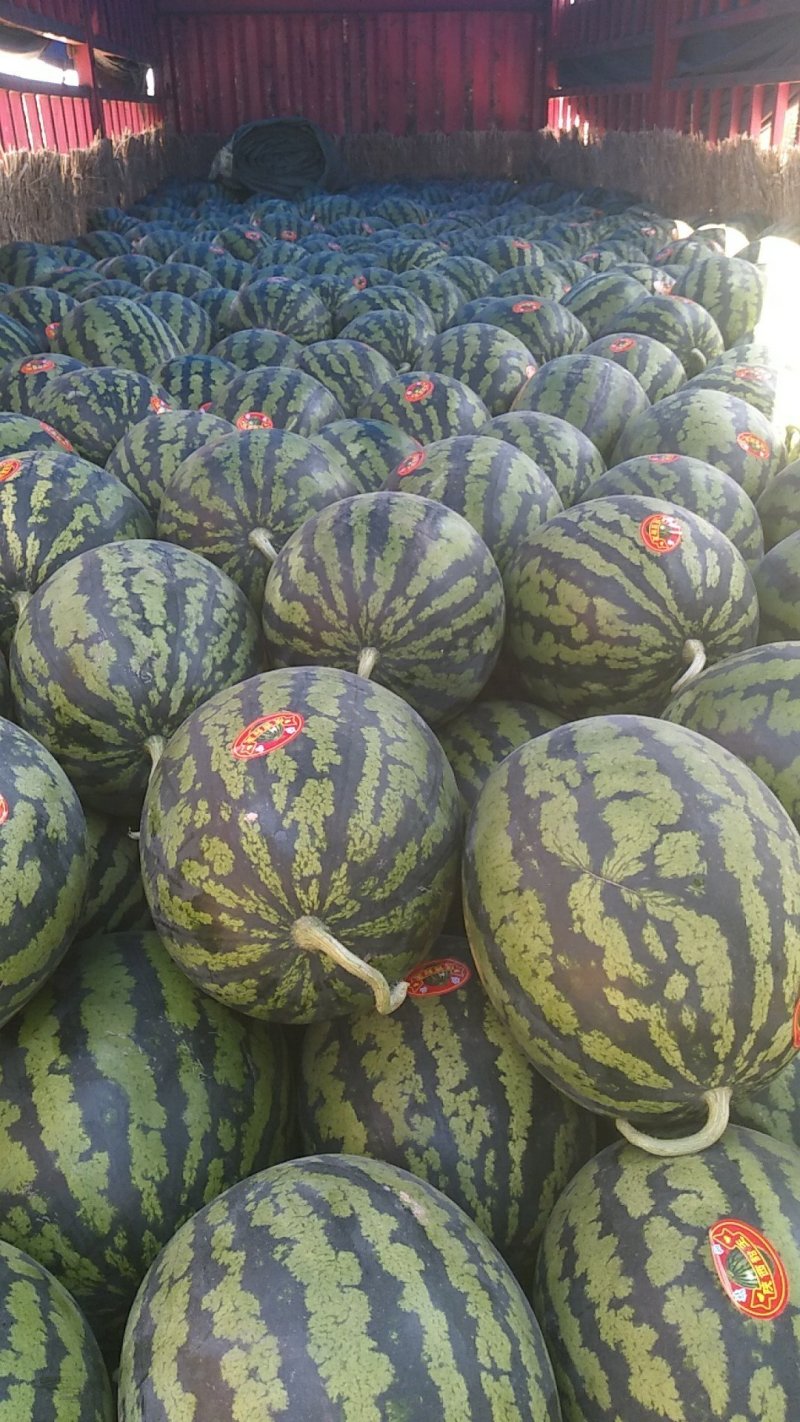 西瓜