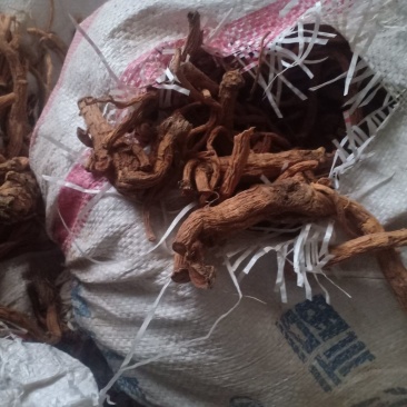 防风统货