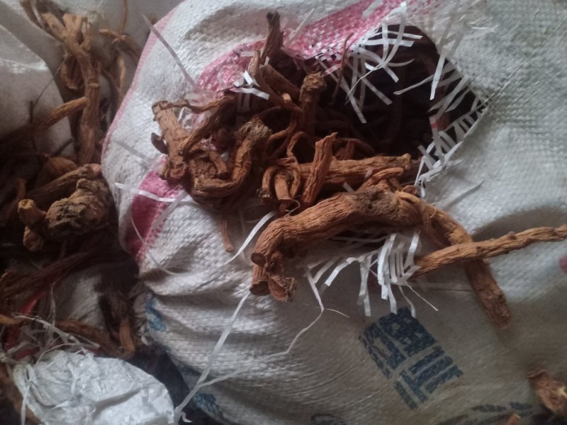防风统货