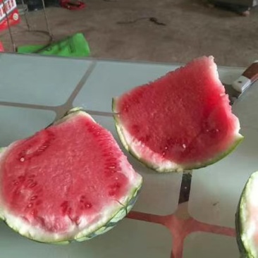 8424有要的联系我，联系我请说一亩看到的