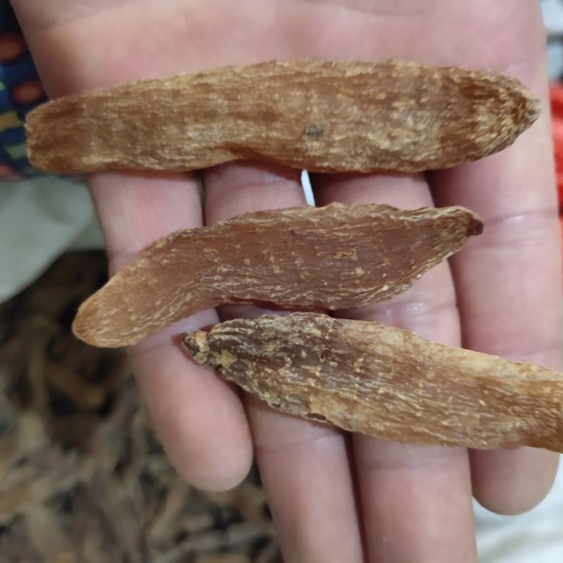 天麻四川红天麻个新货纯干