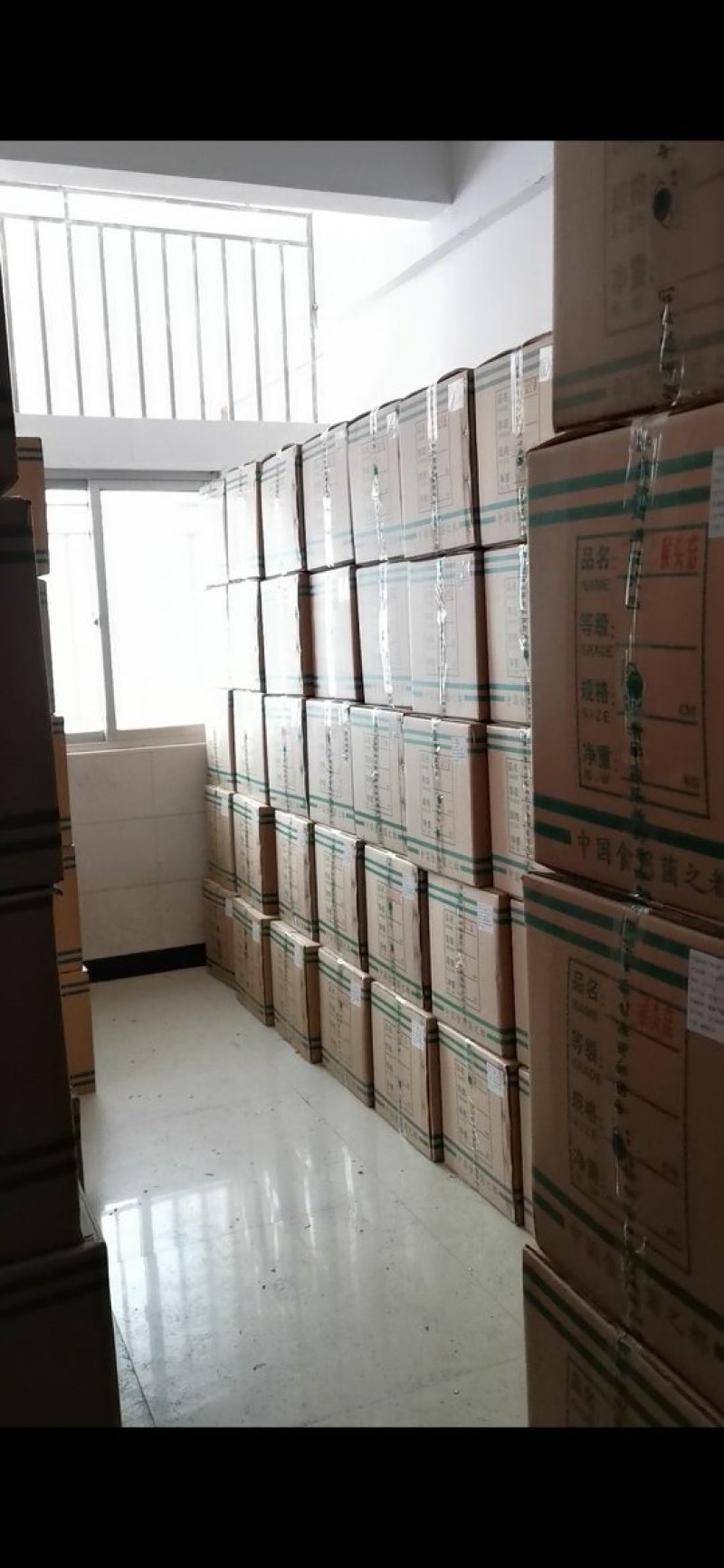 供应酒店食材—长寿菇小白玉菇干品