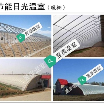 温室大棚日光温室暖棚几字钢椭圆钢管大棚薄膜大棚棉被暖棚