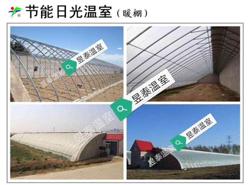 温室大棚日光温室暖棚几字钢椭圆钢管大棚薄膜大棚棉被暖棚