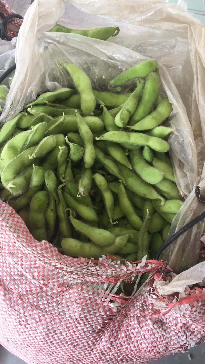毛豆，豇豆，大量上市，质量好价格合理！有需要的联系我！