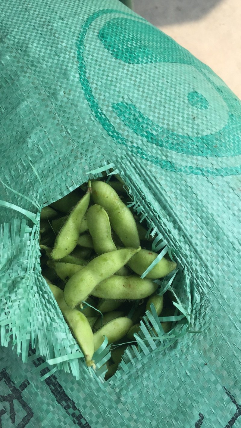 毛豆，豇豆，大量上市，质量好价格合理！有需要的联系我！