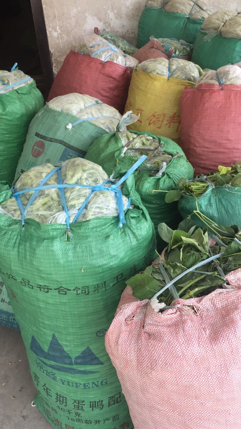 毛豆，豇豆，大量上市，质量好价格合理！有需要的联系我！
