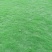 草皮