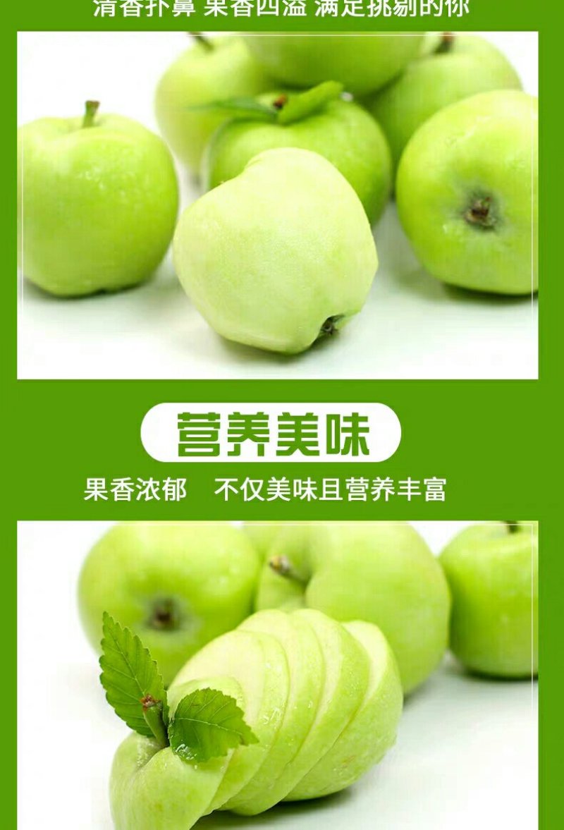 山西青苹果5/10斤装长期供应一件代发对接各平台