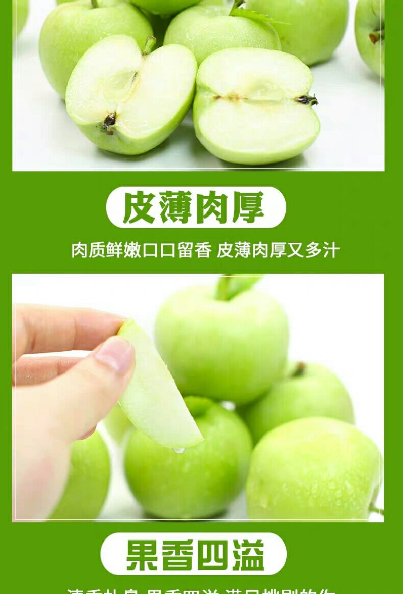 山西青苹果5/10斤装长期供应一件代发对接各平台