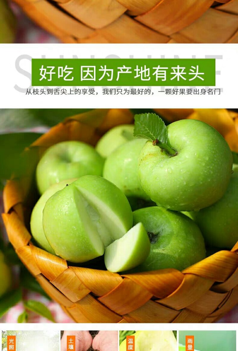 山西青苹果5/10斤装长期供应一件代发对接各平台