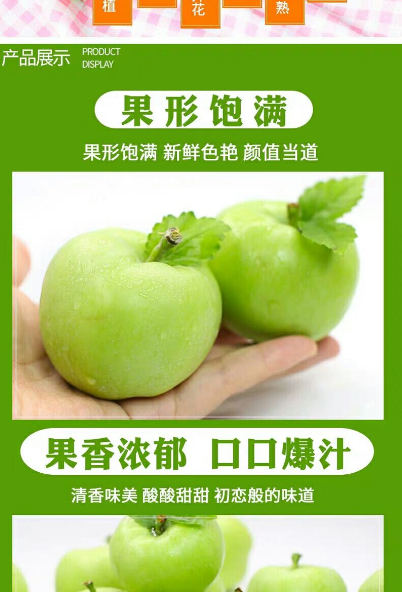山西青苹果5/10斤装长期供应一件代发对接各平台