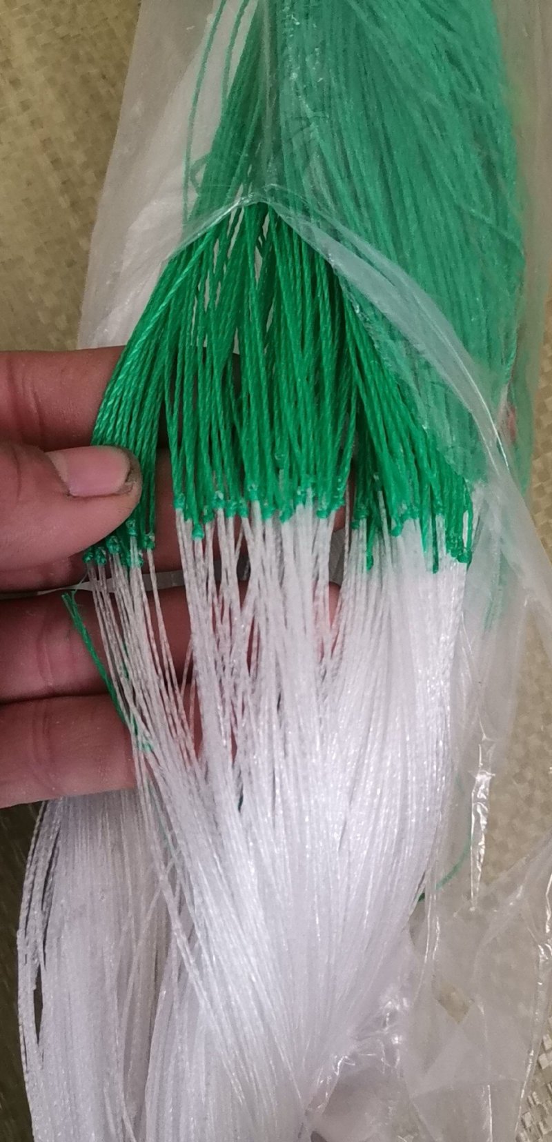 植物爬藤网黄瓜网苦瓜网豆角网南瓜网柑橘百香果攀爬网支架网