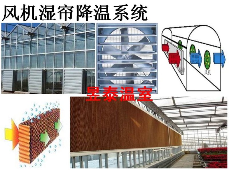 温室大棚负压风机降温湿帘水帘轴流风机昱泰温室