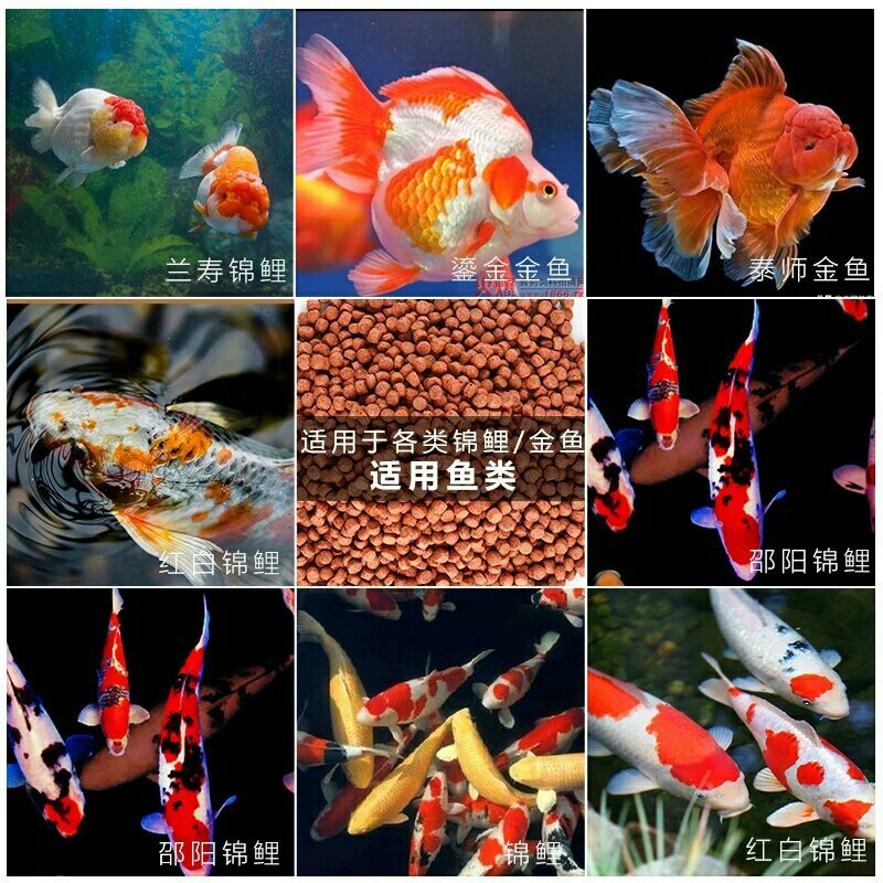 通威鱼饲料小颗粒鱼粮金鱼锦鲤鱼幼鱼开口饲料散装水库