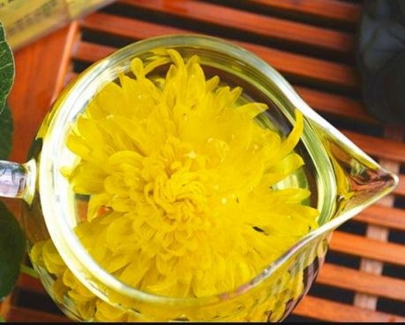 福良山金丝皇菊一朵一泡清热去火可批发