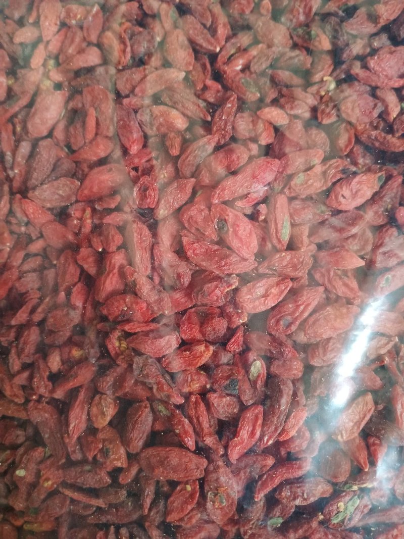 枸杞子各种规格，欢迎新老客户前来洽谈订购