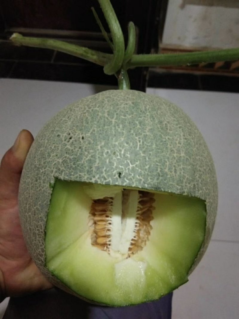 西周蜜