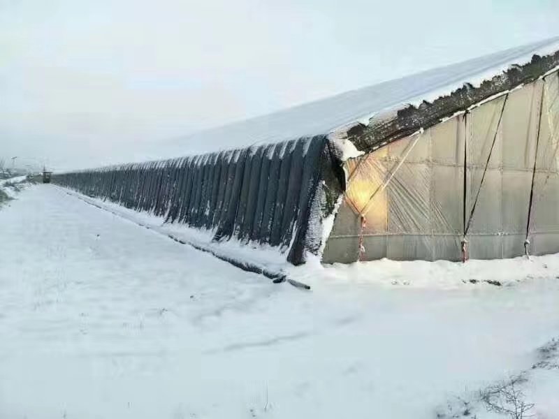 低价厂家直供防雨雪透光大棚保温被