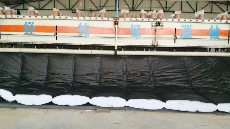 低价厂家直供防雨雪透光大棚保温被