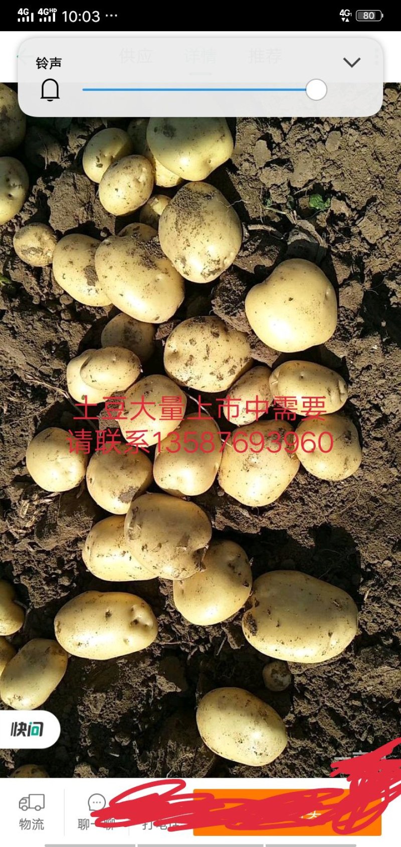 土豆