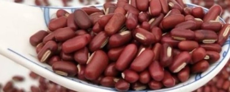 赤小豆产新赤小豆饱满无碎粒干净无杂质