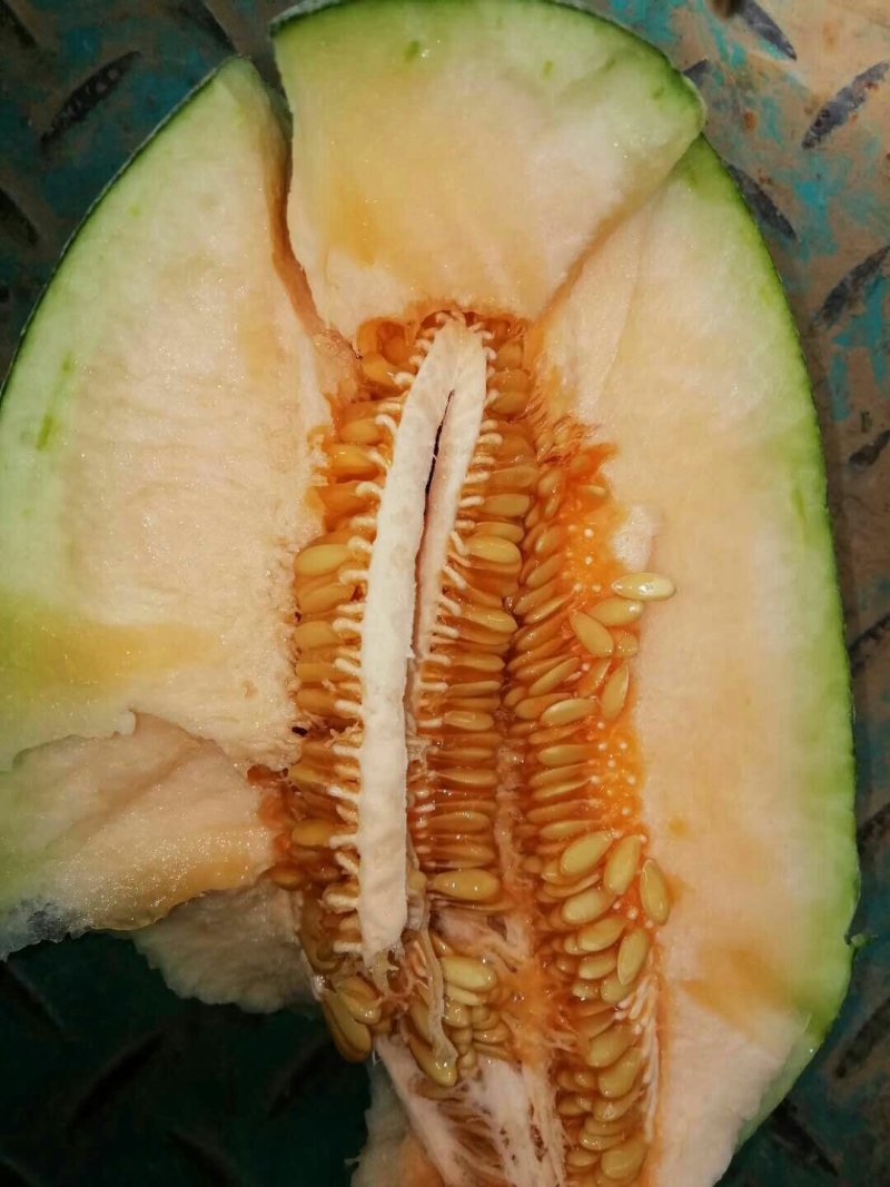 哈蜜瓜