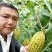 哈蜜瓜