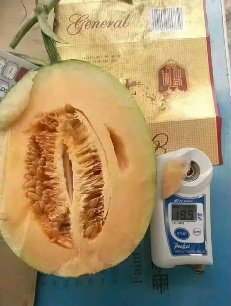 哈蜜瓜