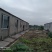 转让东宝区50亩羊场猪场