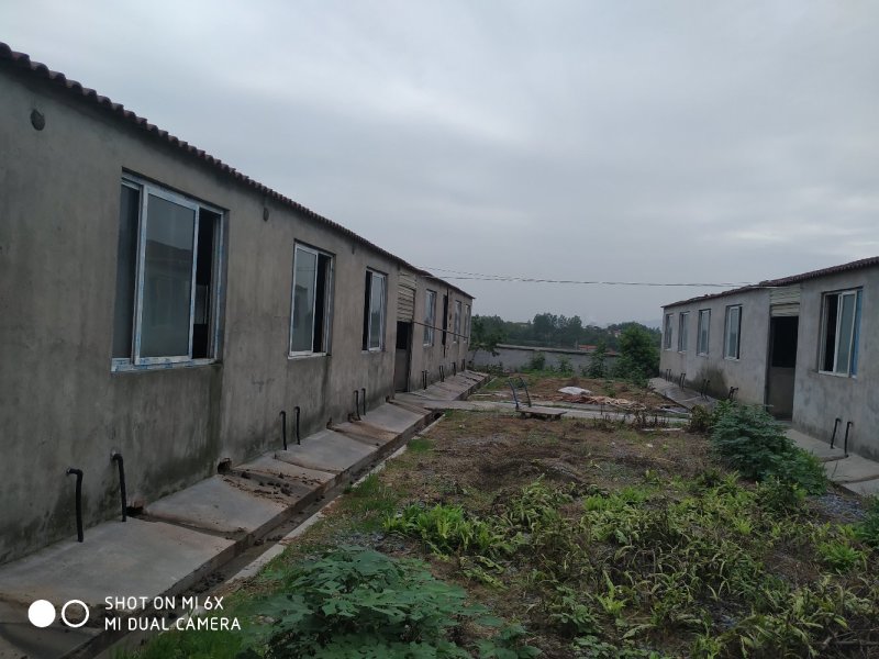 转让东宝区50亩羊场猪场