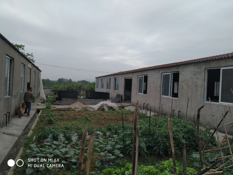 转让东宝区50亩羊场猪场