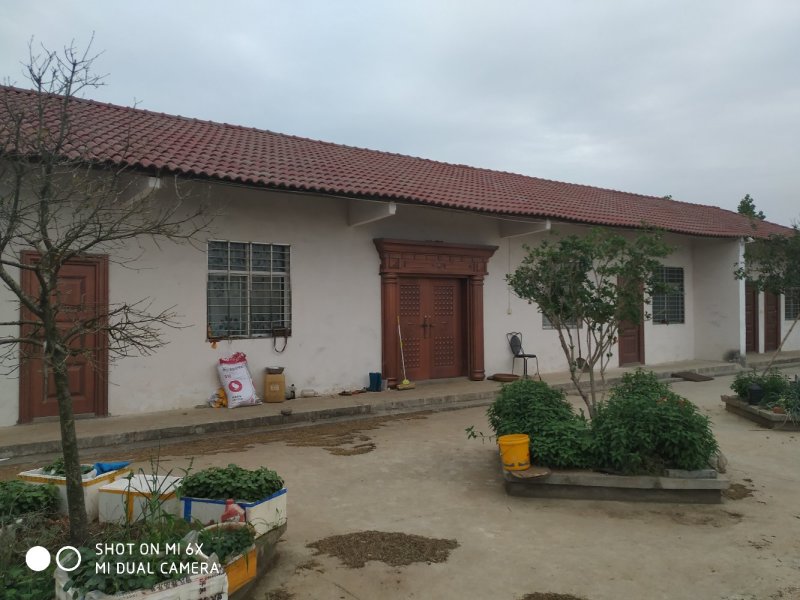 转让东宝区50亩羊场猪场