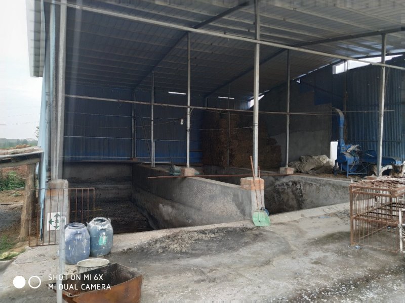 转让东宝区50亩羊场猪场