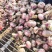 大蒜、苔蒜、脱水蒜，混级蒜，电商货，可视频看货，质量保证