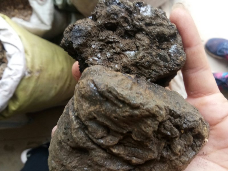 儿茶进口高含量正品一公斤起发货
