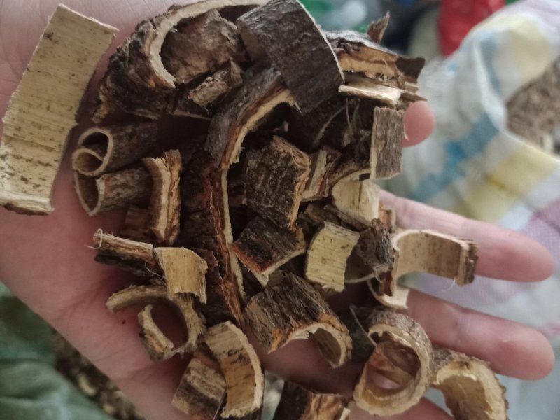 合欢皮各种中药材批发零售各种规格欢迎选购