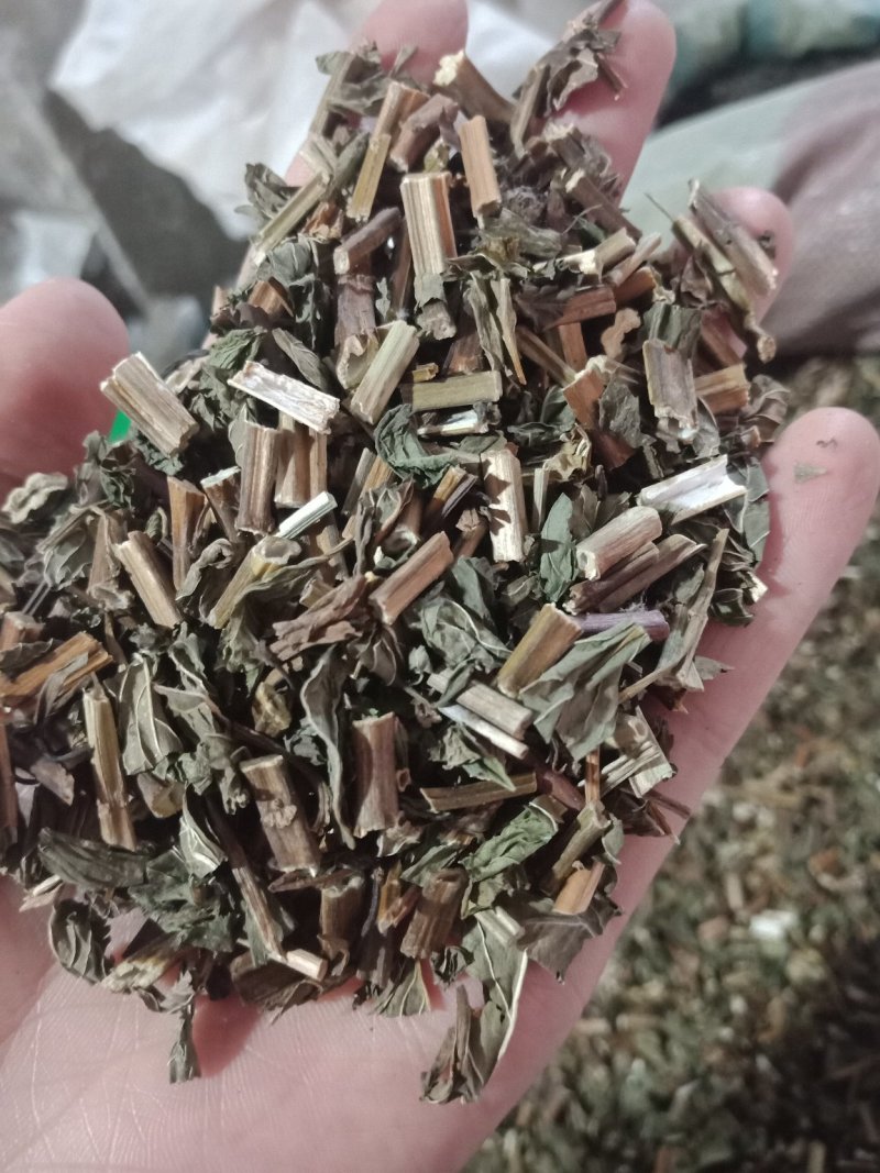 薄荷药用薄荷各种中药材批发零售各种规格欢迎选购