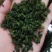 春新茶铁观音上市优惠好喝一斤也是批发～