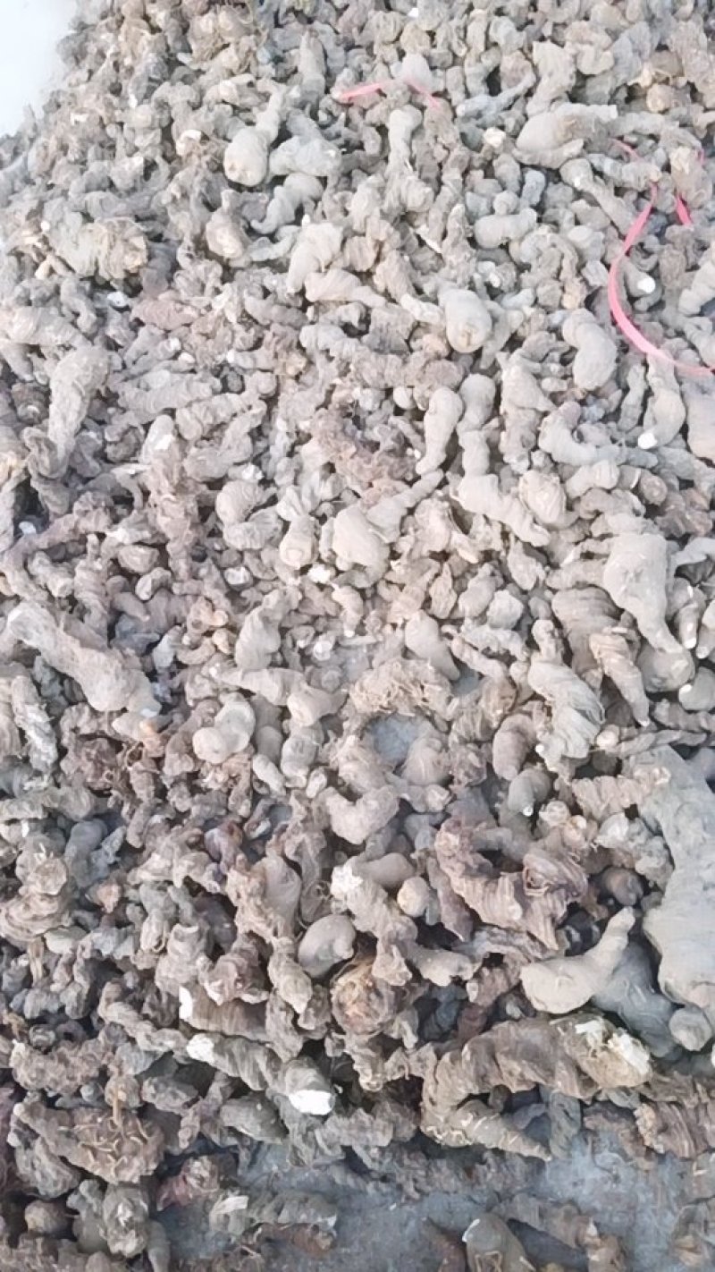 中药材，产地桦重楼，纯野生，全干货，价格美丽。