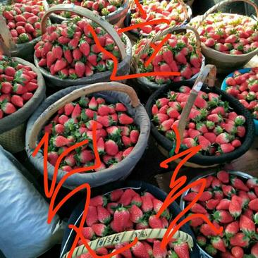 草莓，散装一箱18一20斤，合装一合有15个和20的