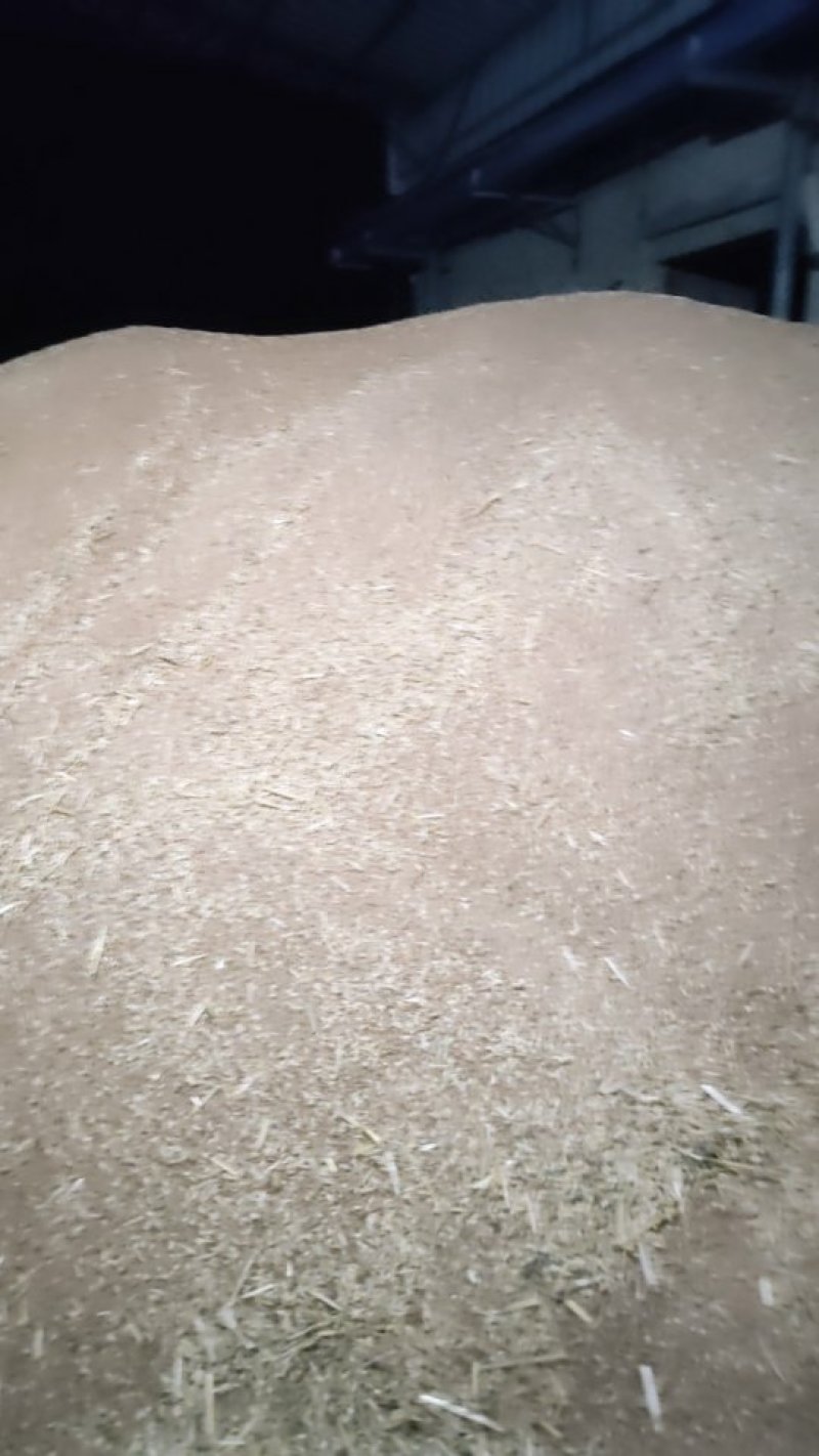 xin新小麦大量上市水分低色泽好，价格美