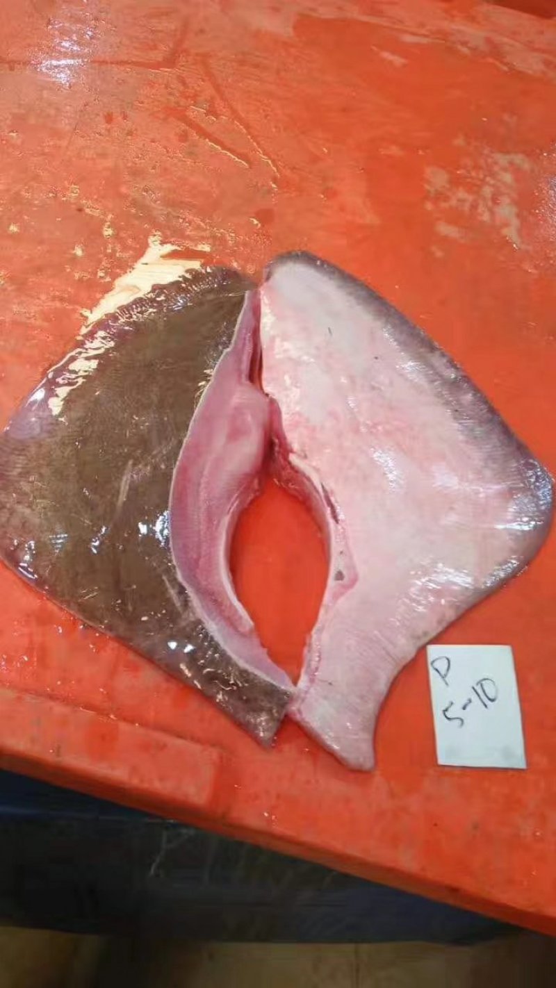 巴基斯坦鹞鱼翅
