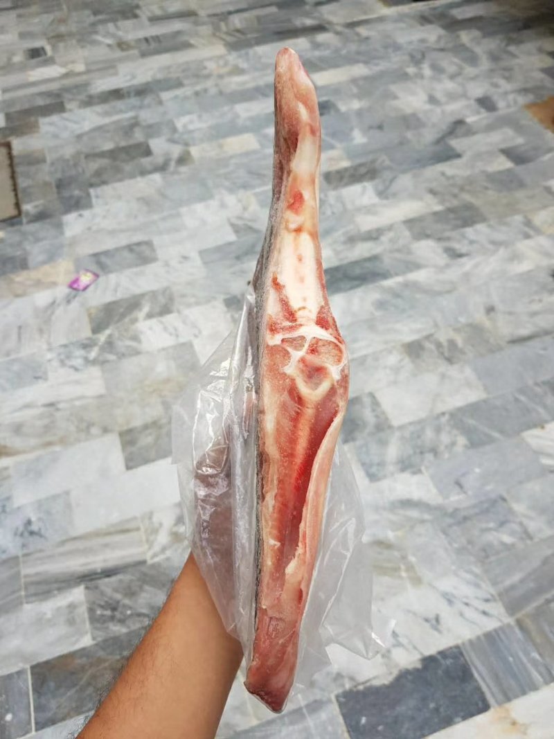 巴基斯坦鹞鱼翅