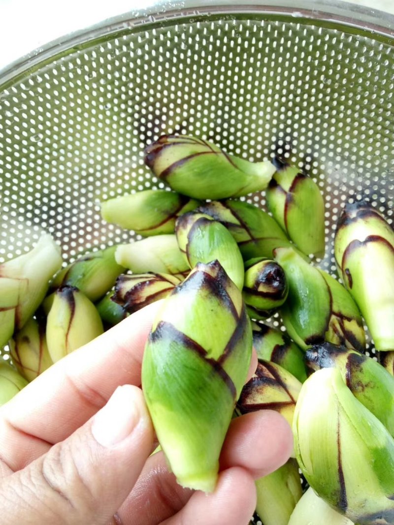 【热销】洋荷/蔬菜/野菜/特采，产地直供，全国发货，欢迎联系