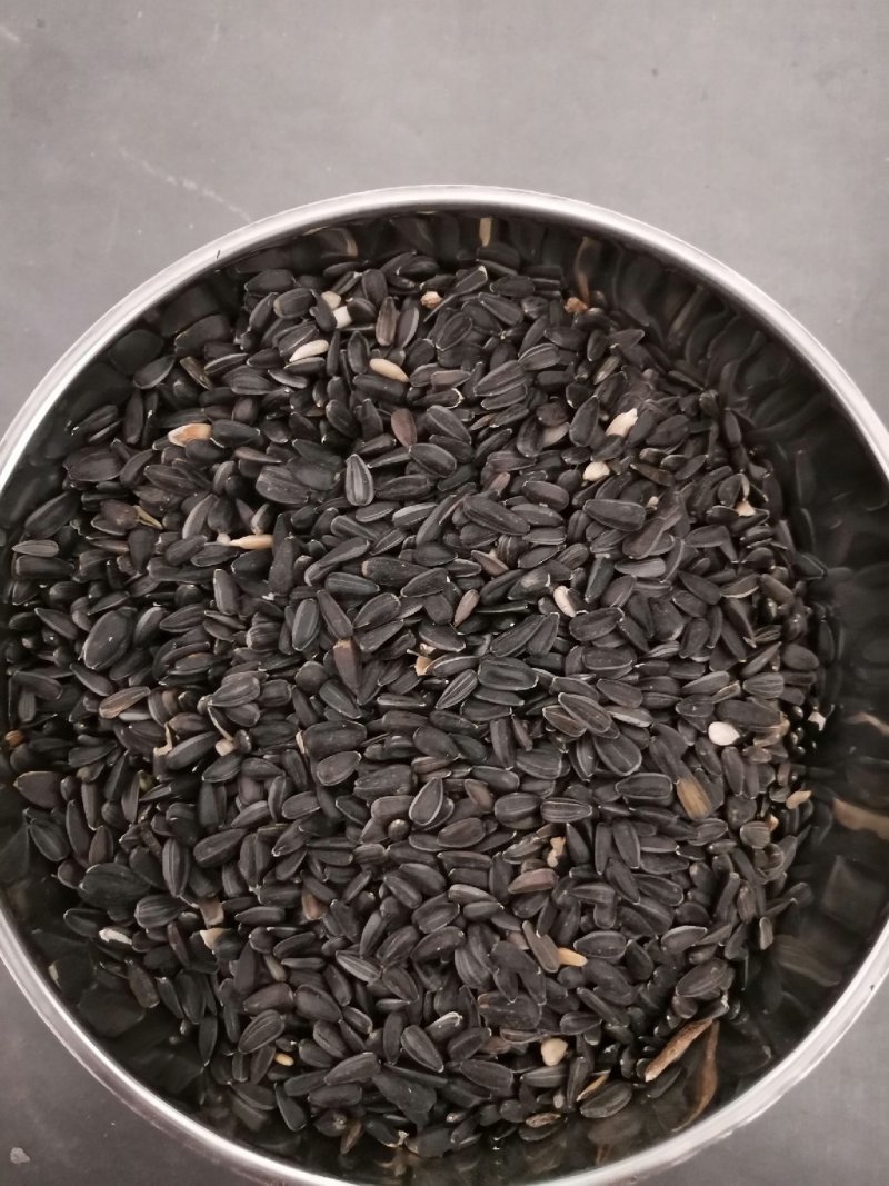 葵花油葵鸽粮/仓鼠粮/榨油用